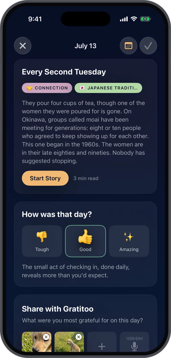 A night in Gratitoo: story card, mood check-in marked Good, and photos of a dog