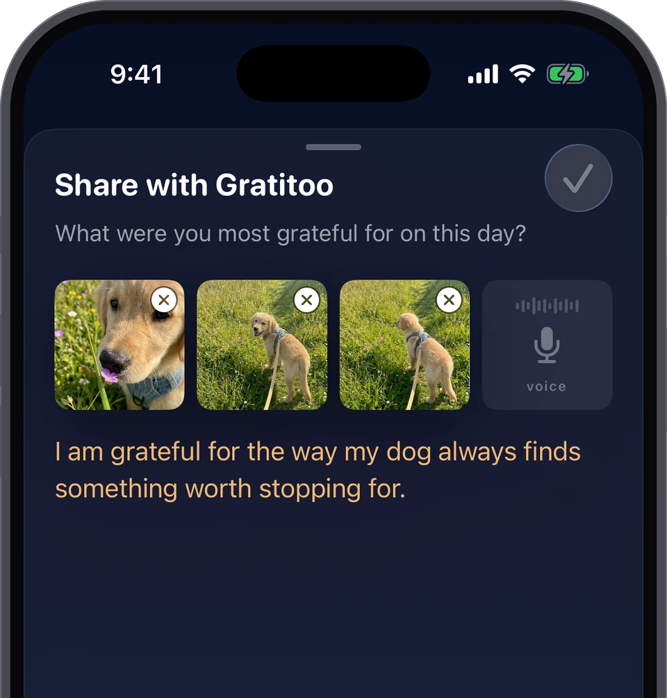 A gratitude journal entry on iPhone: I am grateful for the way my dog always finds something worth stopping for